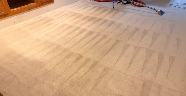 Freshly cleaned beige carpet with extraction lines in a Wichita home