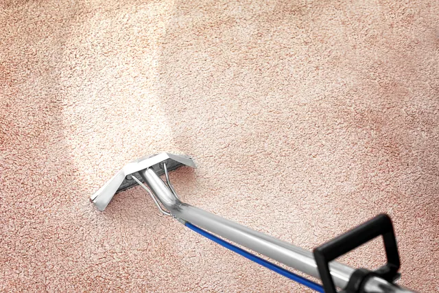 Carpet cleaning wand performing hot water extraction