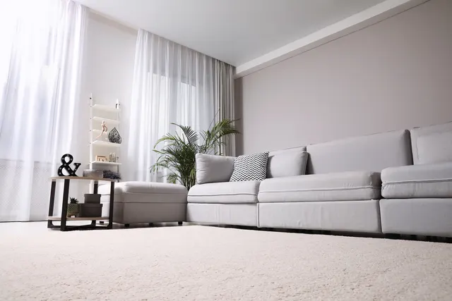 Bright living room with clean white carpet
